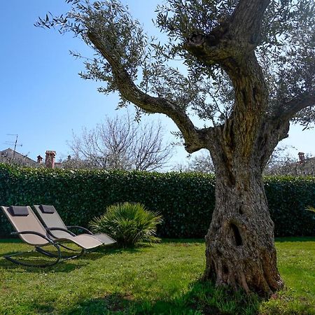 Apartments Palm View Rovinj Zewnętrze zdjęcie