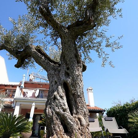Apartments Palm View Rovinj Zewnętrze zdjęcie