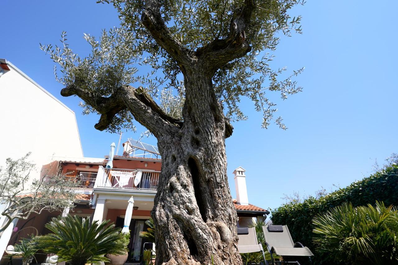 Apartments Palm View Rovinj Zewnętrze zdjęcie